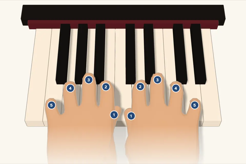 Two 3D hands on a piano keyboard, both thumbs on middle C. Each finger is numbered: 5, 4, 3, 2, 1 on the left hand, then 1, 2, 3, 4, 5 on the right.