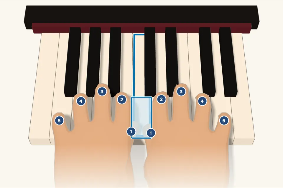 Two 3D hands on a piano keyboard. Both thumbs share the outlined key, middle C. Each finger is numbered.